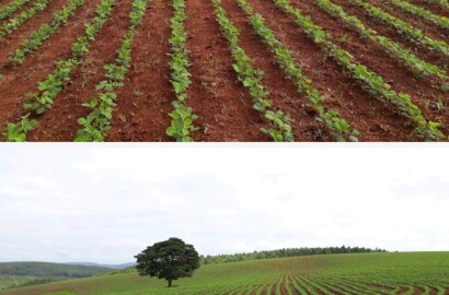 Linda fazenda para venda em Guapé - MG.