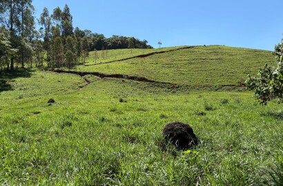 Terreno Rural para venda em Dom Viçoso MG