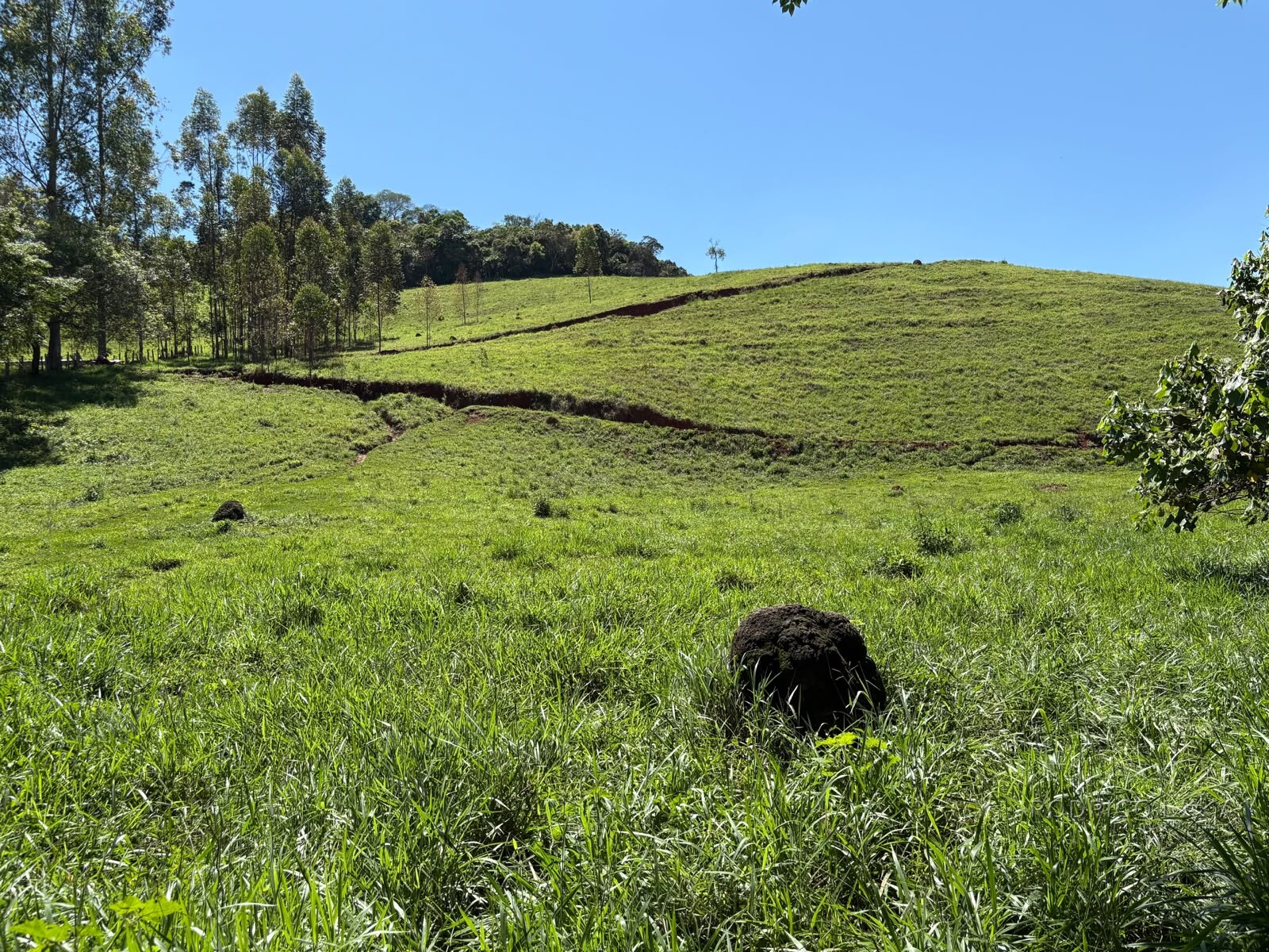 Terreno Rural para venda em Dom Viçoso MG
