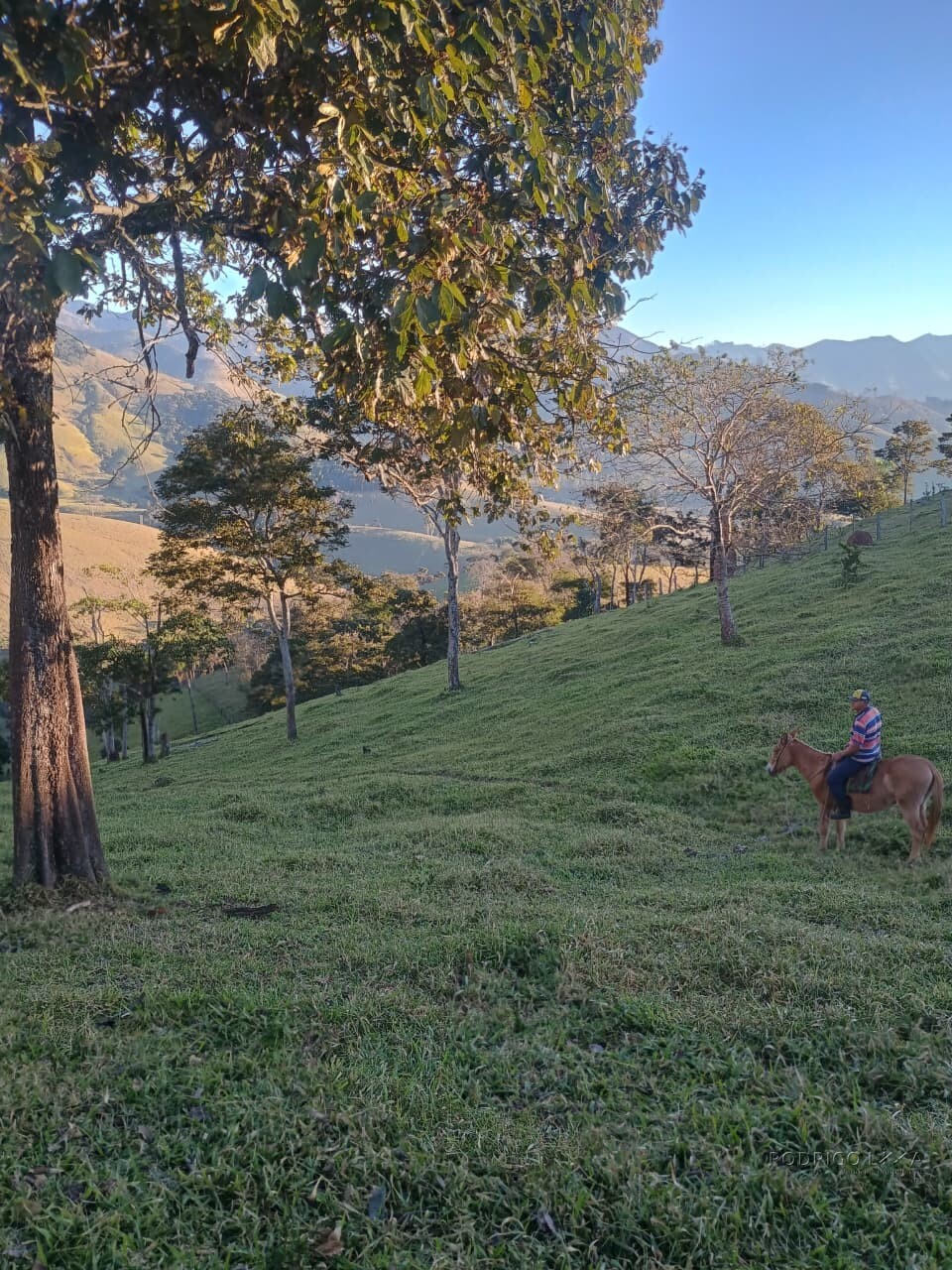 Propriedade rural para venda em Virgínia/MG