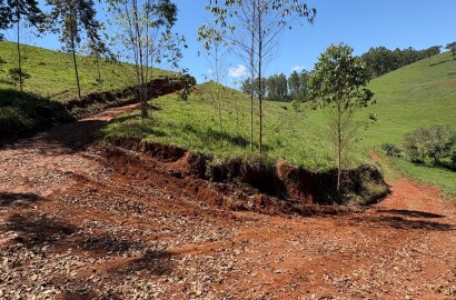 Terreno Rural para venda em Dom Viçoso MG