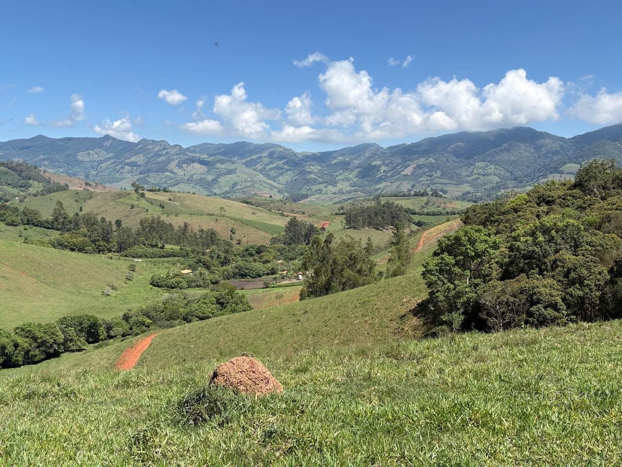 Terreno Rural para venda em Dom Viçoso MG