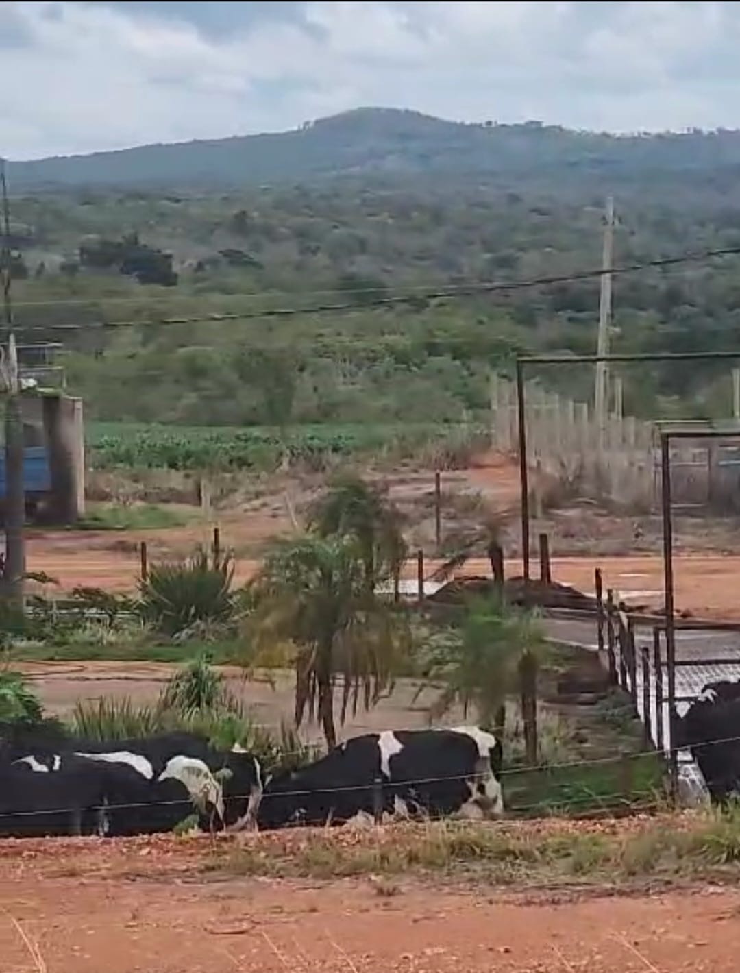 Fazenda para venda em Curvelo Mg