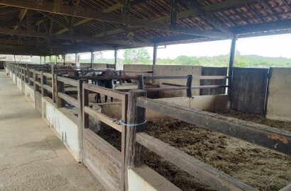 Fazenda para venda em Curvelo Mg