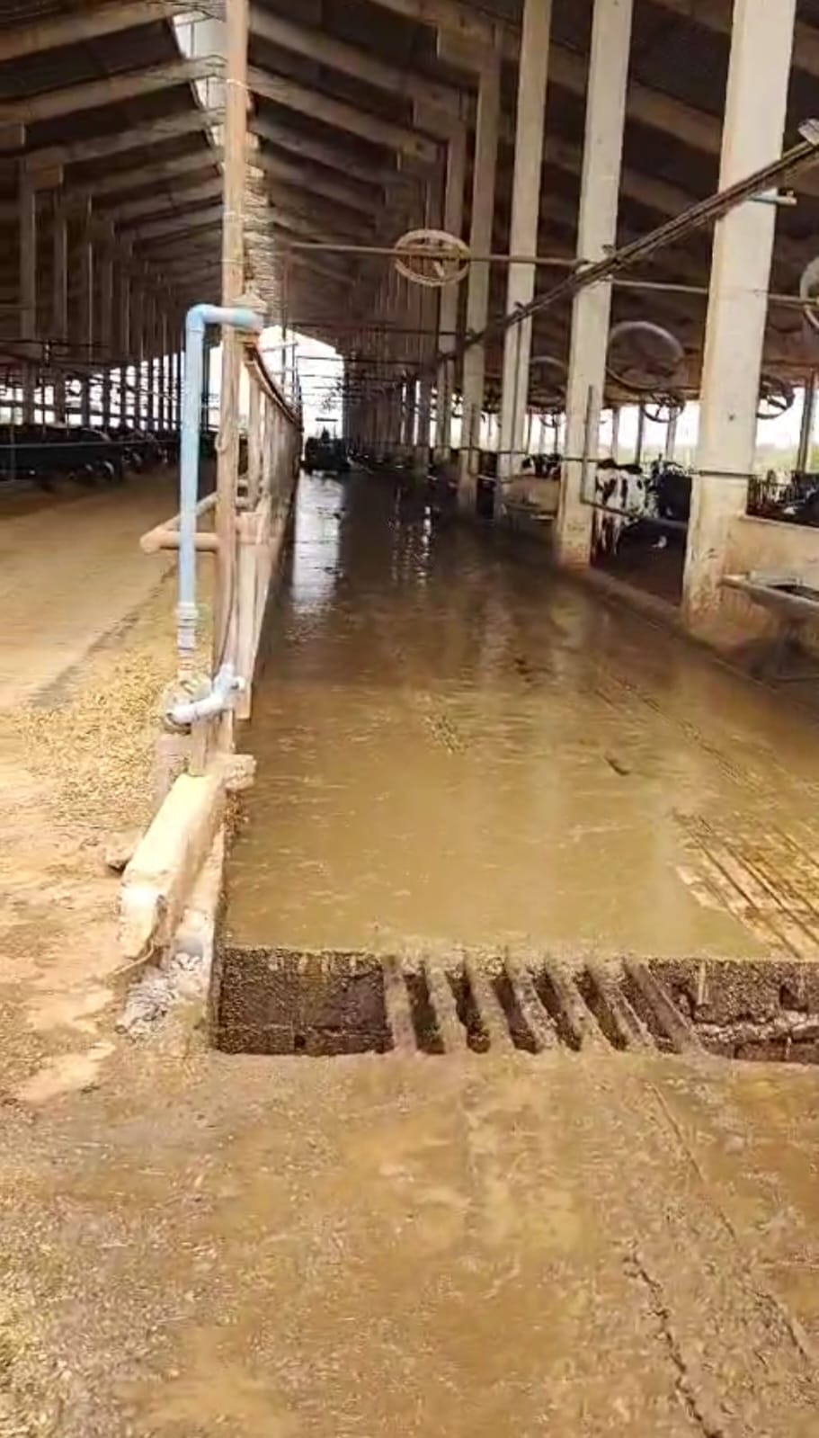 Fazenda para venda em Curvelo Mg