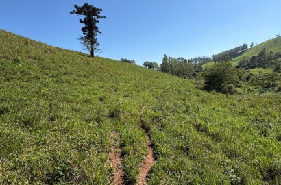 Terreno rural para venda em Dom Viçoso MG