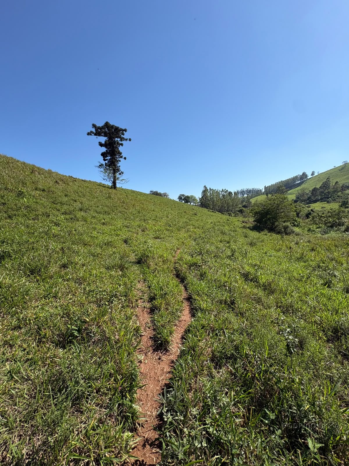 Terreno rural para venda em Dom Viçoso MG
