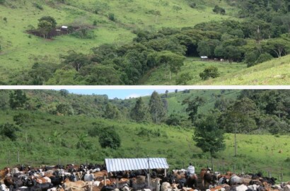 Linda fazenda para venda em Guapé - MG.