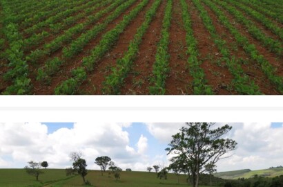Linda fazenda para venda em Guapé - MG.