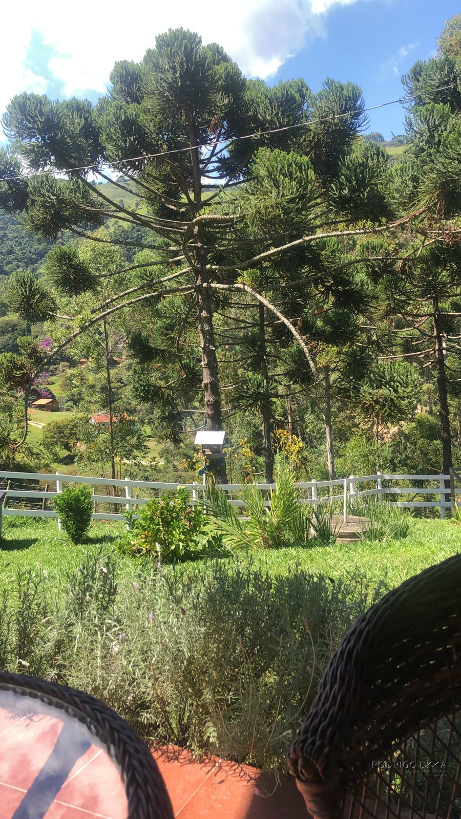 Lindo Sítio para venda em Itamonte - MG.