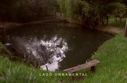 Sítio/ Haras para venda ou Locação em Baependi MG