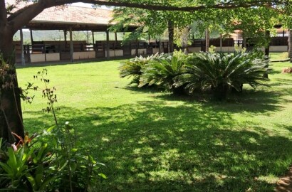Fazenda para venda em Curvelo Mg