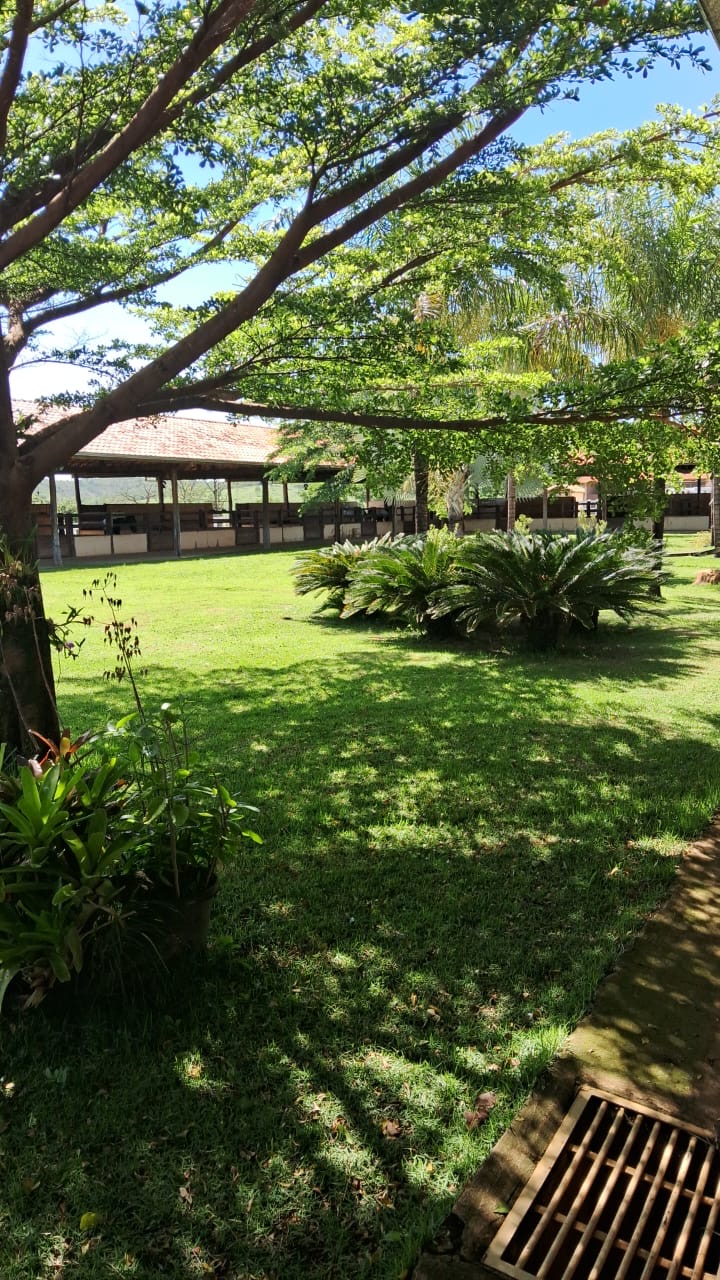 Fazenda para venda em Curvelo Mg