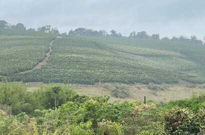 Linda fazenda para venda em Bom Sucesso MG.