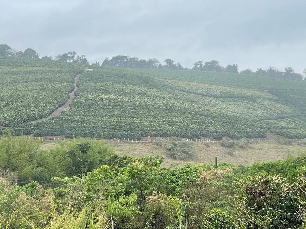 Linda fazenda para venda em Bom Sucesso MG.