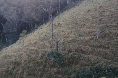 Propriedade rural para venda em Virgínia/MG