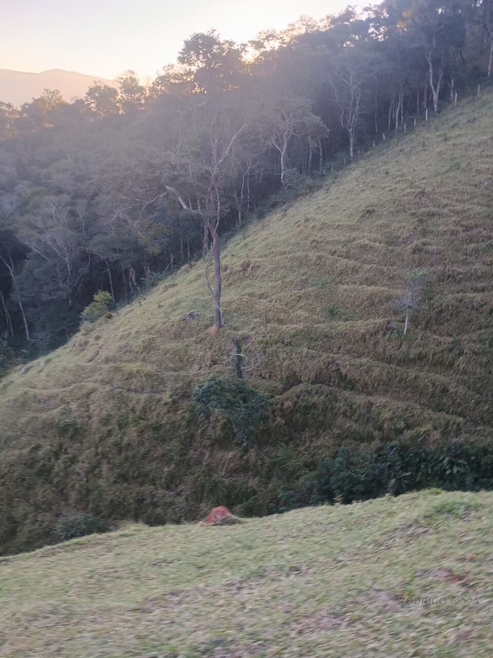 Propriedade rural para venda em Virgínia/MG
