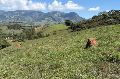 Terreno Rural para venda em Dom Viçoso MG