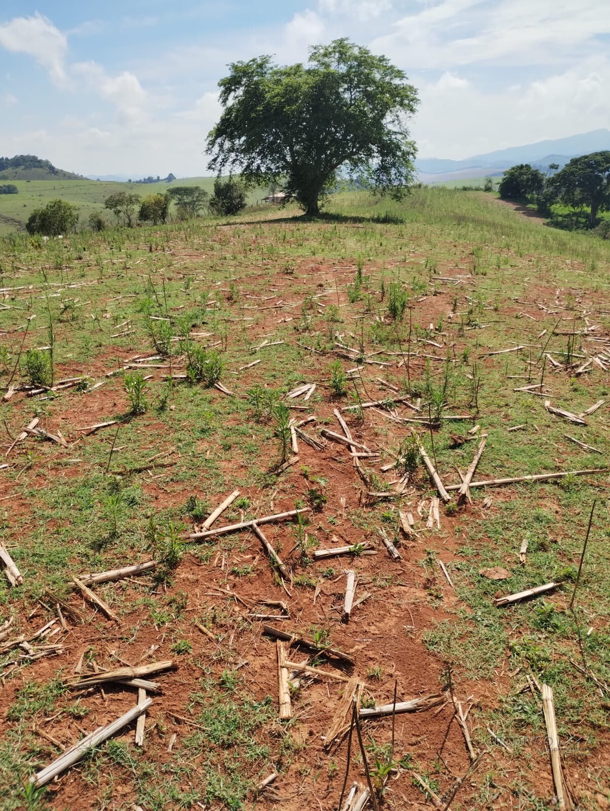 Propriedade para venda entre Carmo de Minas/ Olímpio Noronha Mg