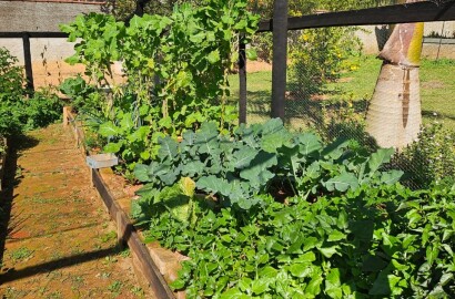 Chácara para venda em Caxambu MG.