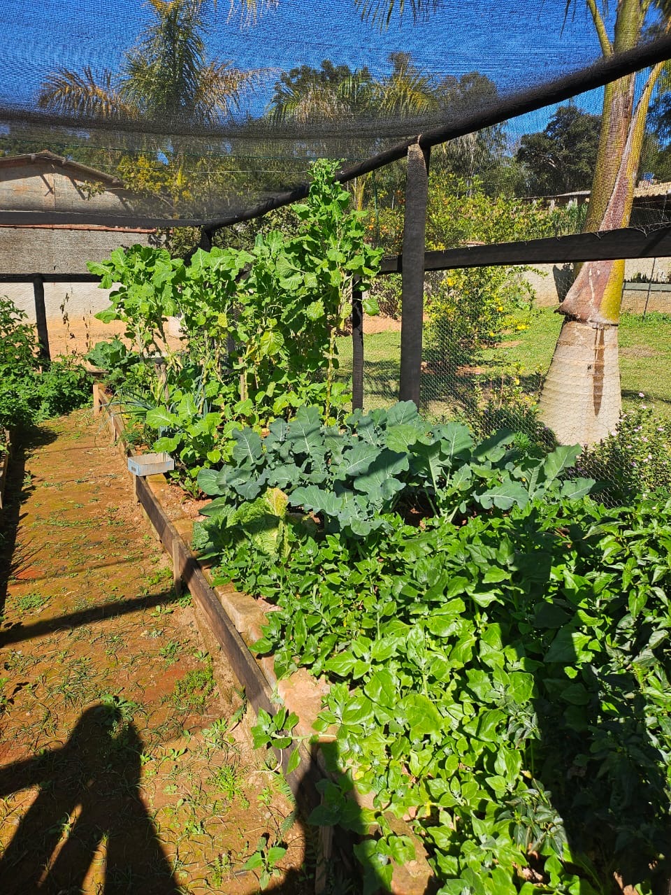 Chácara para venda em Caxambu MG.