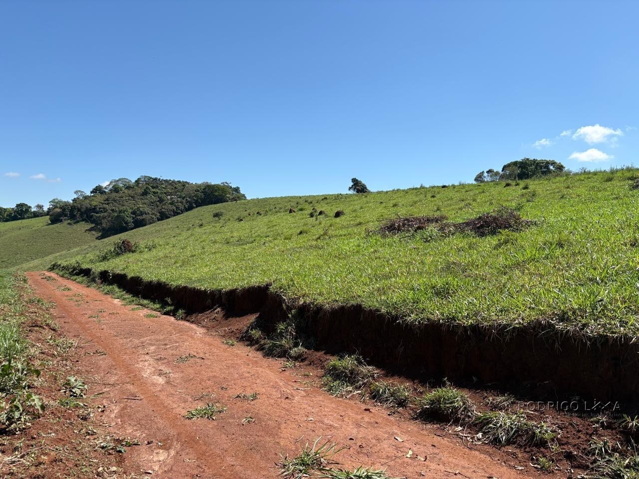 Terreno Rural para venda em Dom Viçoso MG