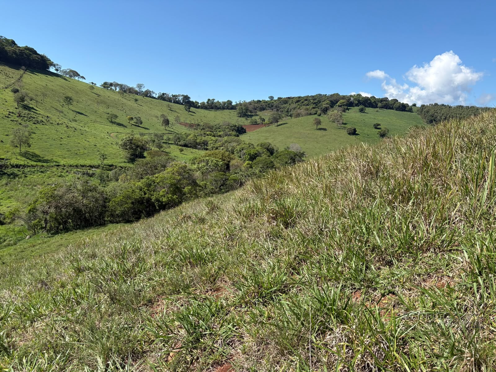 Terreno rural para venda em Dom Viçoso MG