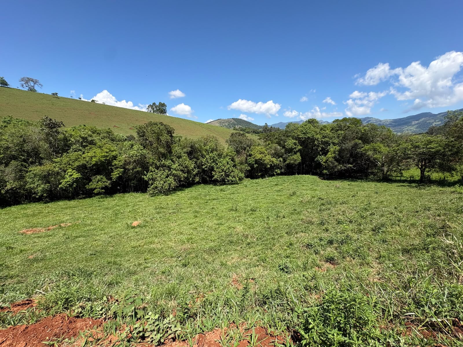 Terreno Rural para venda em Dom Viçoso MG