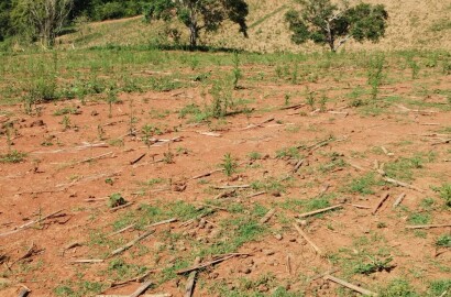 Propriedade para venda entre Carmo de Minas/ Olímpio Noronha Mg