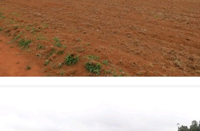 Linda fazenda para venda em Guapé - MG.