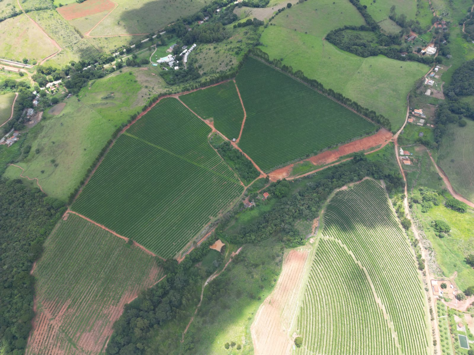 Fazenda para venda em São Lourenço Mg