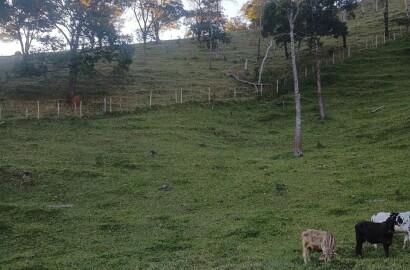 Propriedade rural para venda em Virgínia/MG