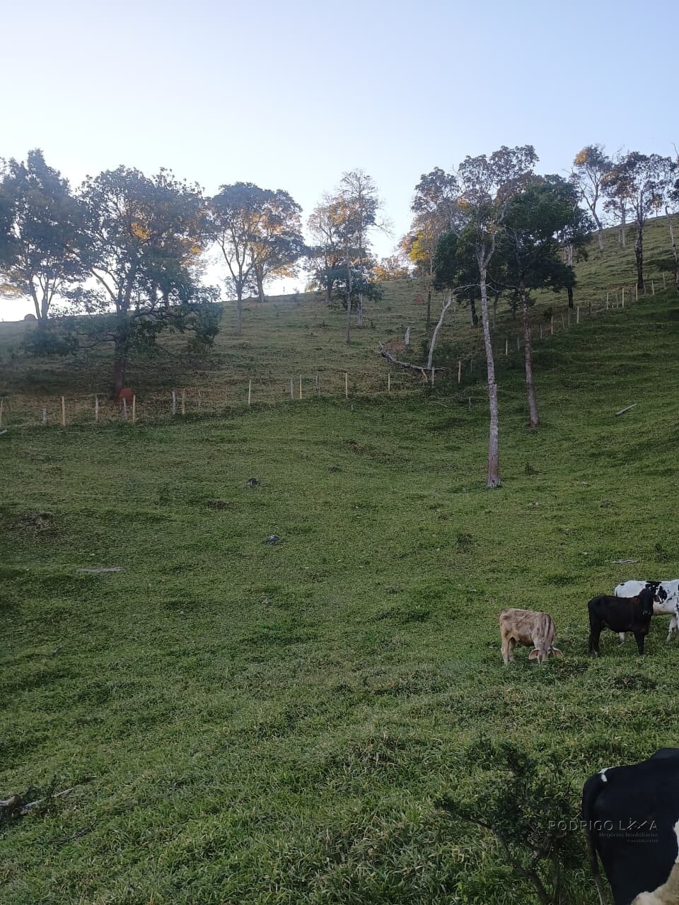 Propriedade rural para venda em Virgínia/MG