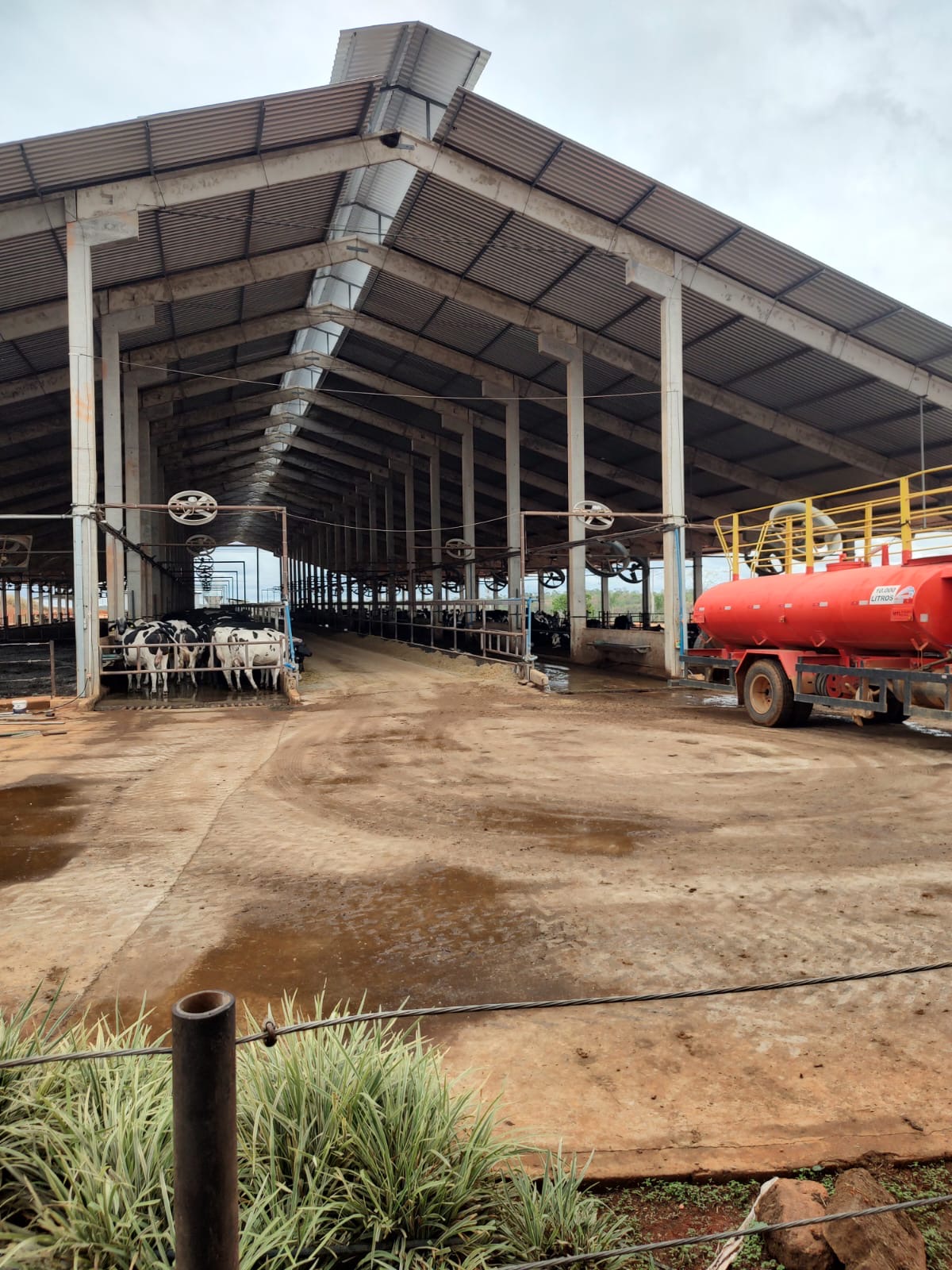 Fazenda para venda em Curvelo Mg