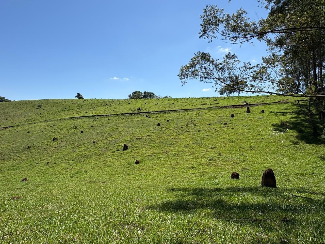 Terreno Rural para venda em Dom Viçoso MG