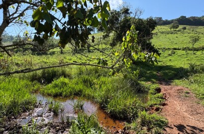 Terreno rural para venda em Dom Viçoso MG