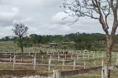 Fazenda para venda em Curvelo Mg