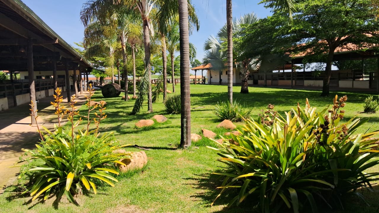 Fazenda para venda em Curvelo Mg