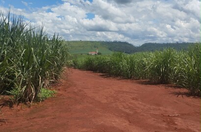 Fazenda para venda na região de Cajuru SP