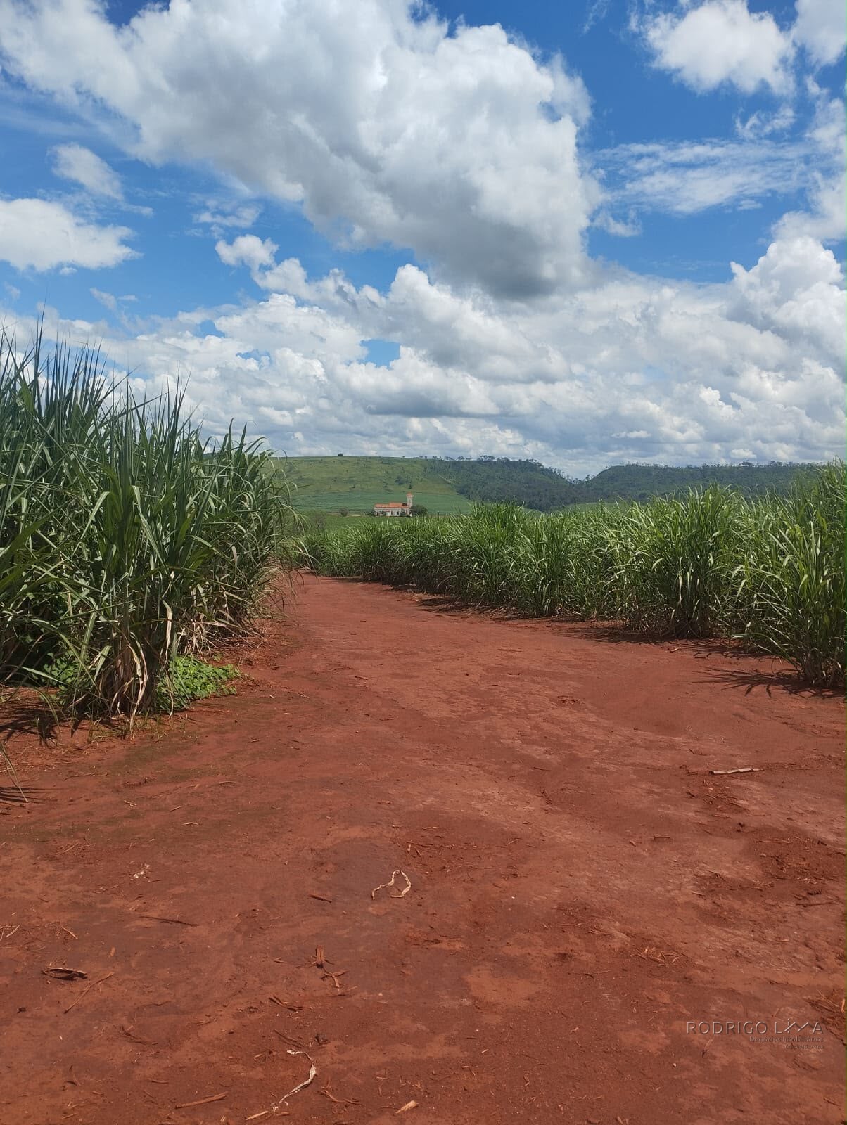Fazenda para venda na região de Cajuru SP