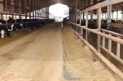 Fazenda para venda em Curvelo Mg