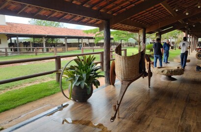 Fazenda para venda em Curvelo Mg