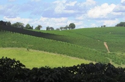 Linda fazenda para venda em Bom Sucesso MG.