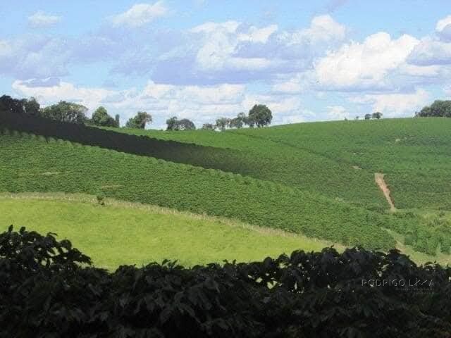 Linda fazenda para venda em Bom Sucesso MG.