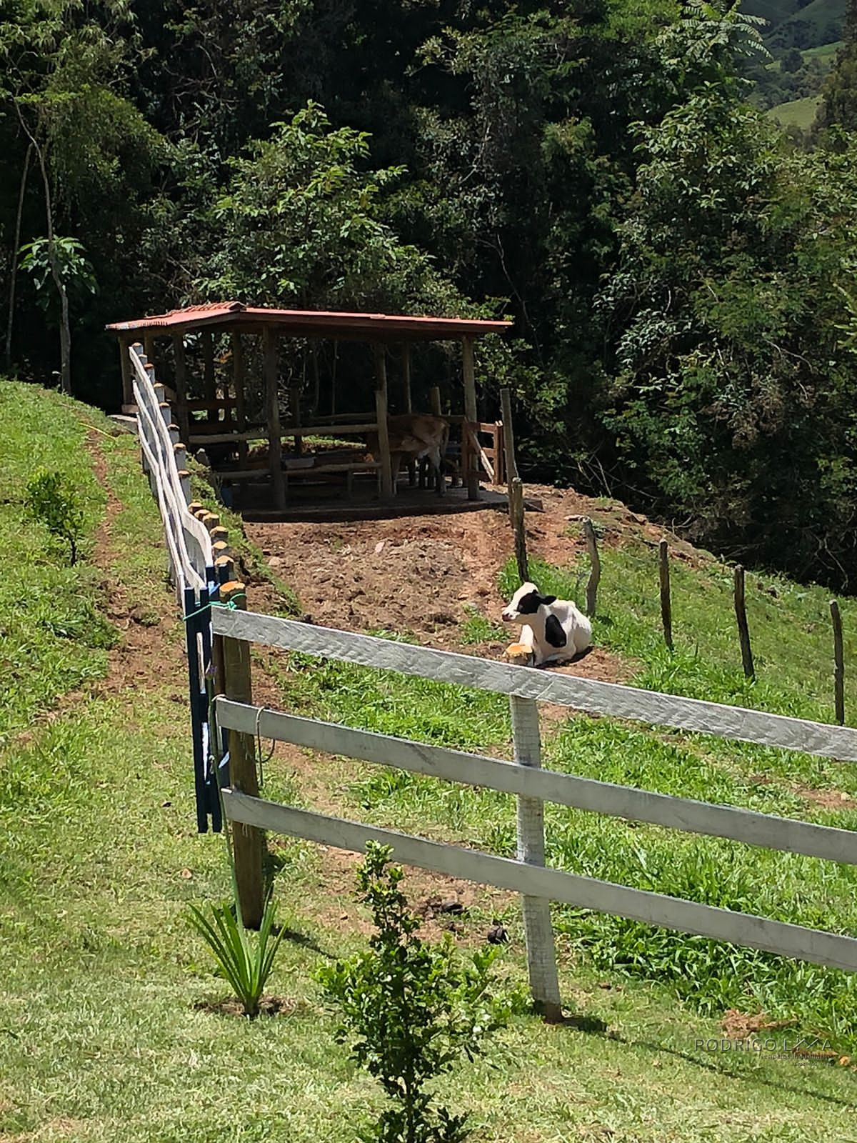 Lindo Sítio para venda em Itamonte - MG.