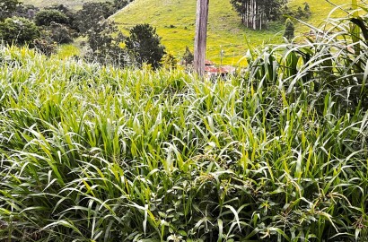 Sitio para venda próximo a São Lourenço - MG.