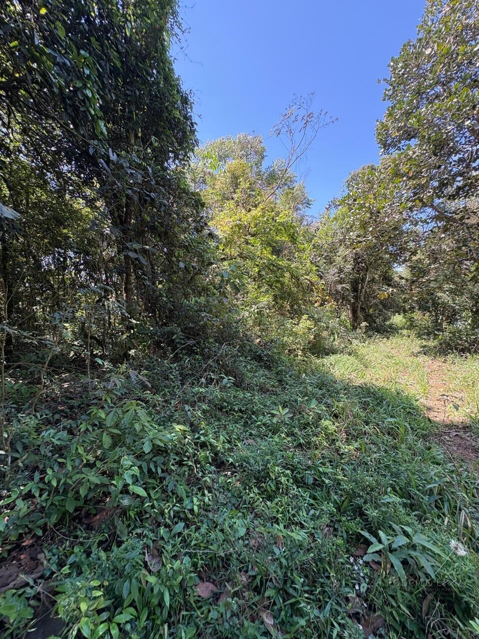 Terreno Rural para venda em Dom Viçoso MG