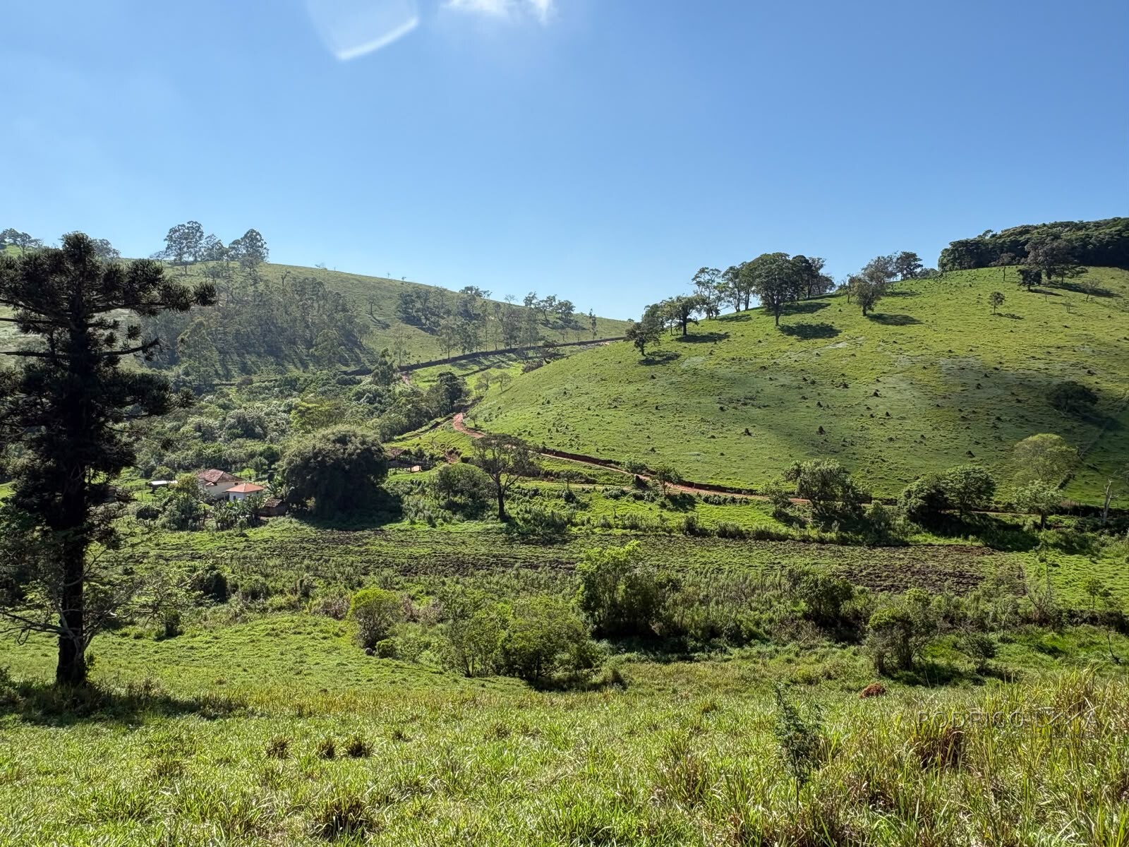 Terreno rural para venda em Dom Viçoso MG