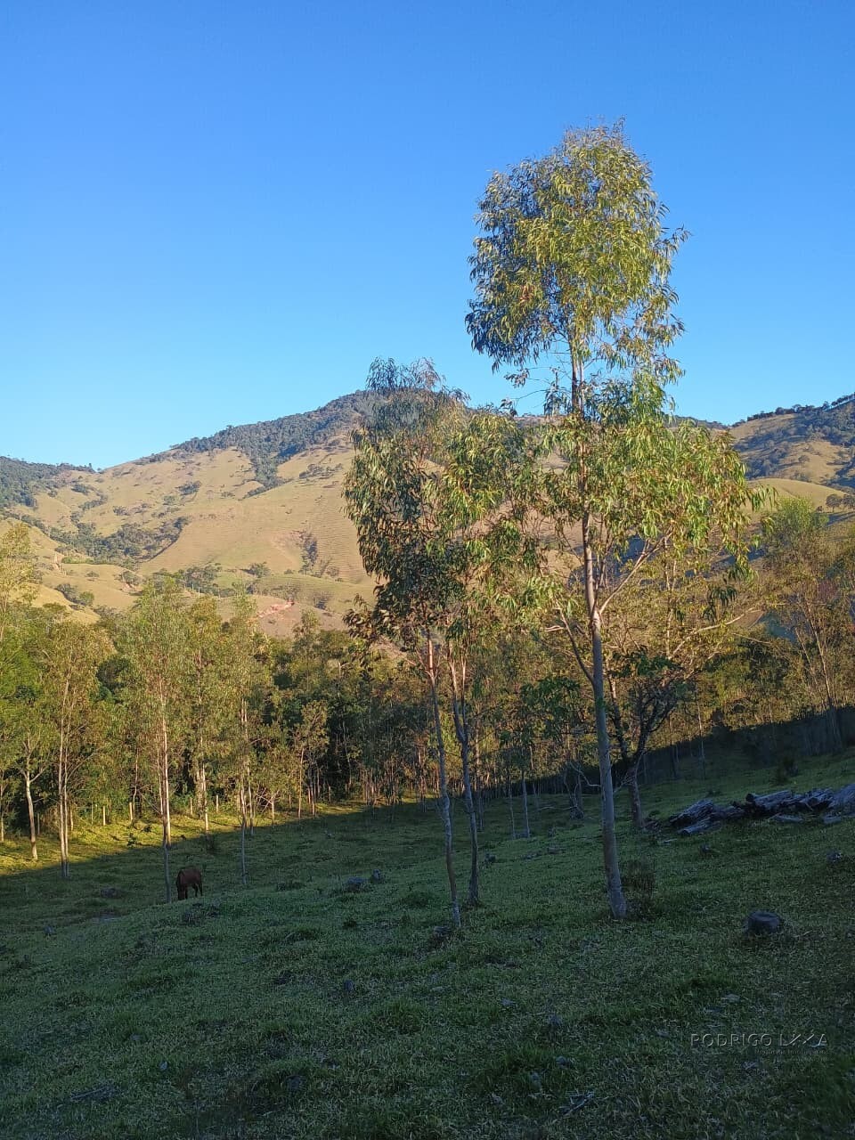 Propriedade rural para venda em Virgínia/MG