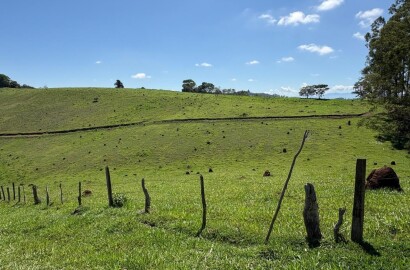 Terreno Rural para venda em Dom Viçoso MG